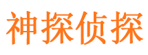 城中侦探公司